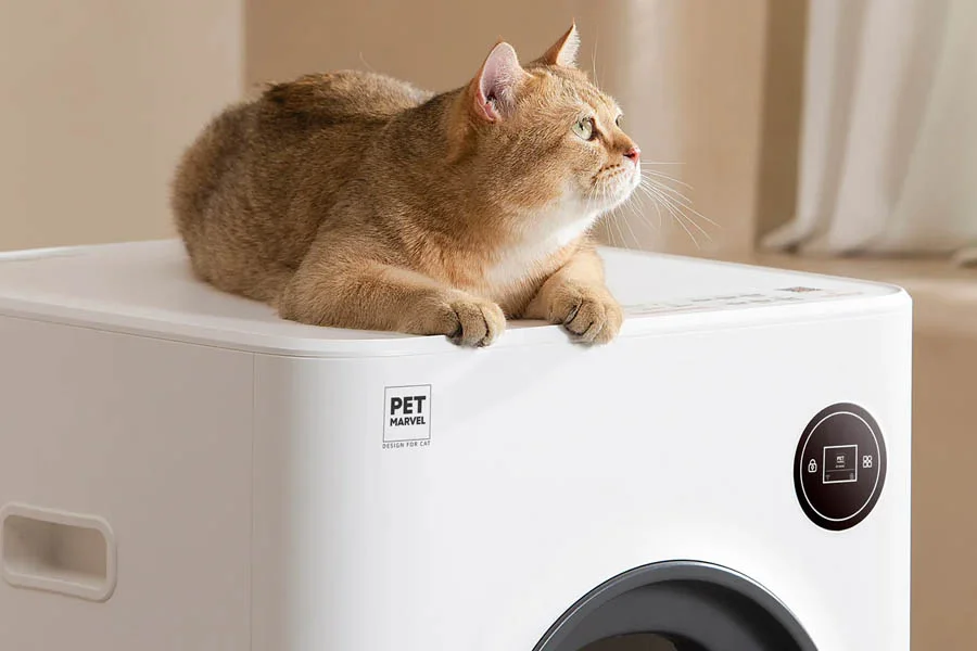 auto cat litter boxes