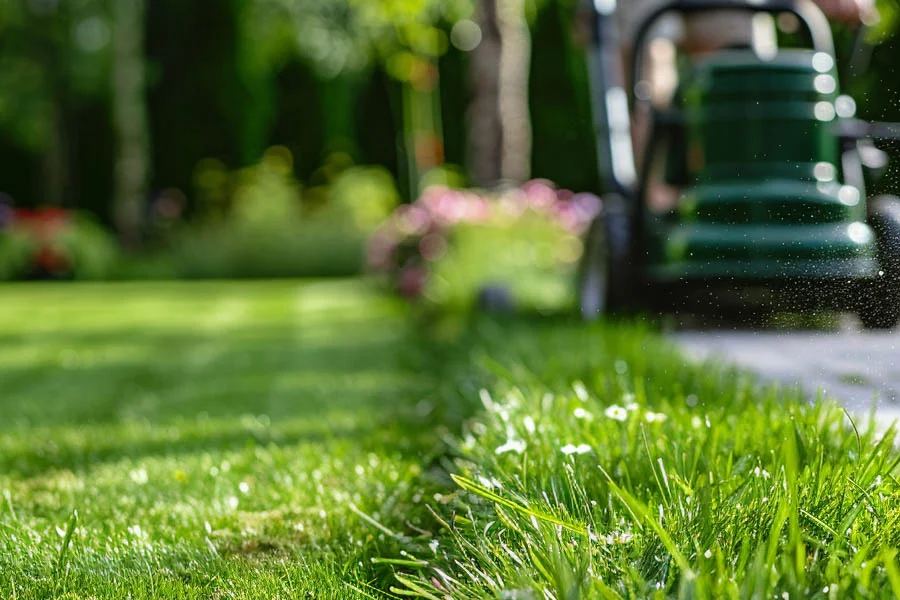 best electric lawnmowers 2024